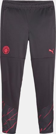 Puma Womens Puma Manchester City Fc Training Pant in Navy
