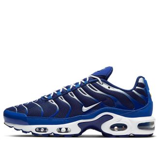 Nike Air Max Plus Arctic Chill CW7024-400