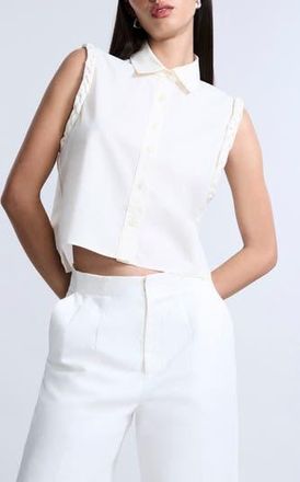 Bcbgmaxazria Braided Button-Up Shirt in Jasmine at Nordstrom Rack, Size 14