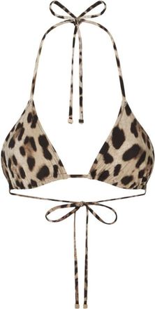 Dolce & Gabbana Brown Animal Print Swimwear
