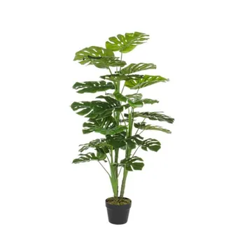 BIZZOTTO Bizzotto - Planta Filodendro Con Vaso 120cm 23 Hojas