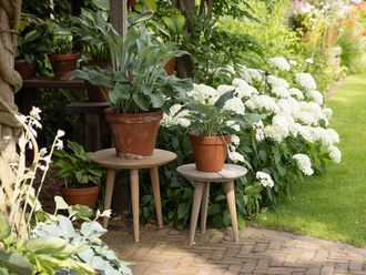 Rough Country Rustic Furniture ROUGH-K bijzet tuintafel &oslash; 40cm