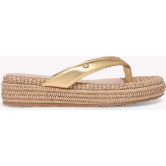 Gianvito Rossi Thaiti Thong Sandals in Metallic Gold at Nordstrom, Size 34.5