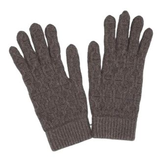Herm&egrave;s Pre-owned Accessories, female, Brown, Size: ONE SIZE Pre-owned Chain dAncre Gloves
