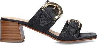 Stefano Lauran Schoenen, Dames, Zwart, 39 EU, Leer, Zwarte Sandalen voor Stijlvolle Zomer