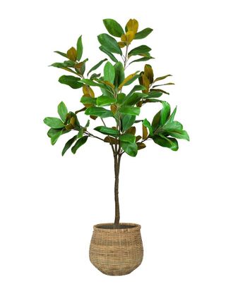 Creative Displays Inc. Uv-Rated 5Ft Magnolia Tree Drop-In With Bamboo Planter