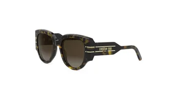 Dior DiorSignature R2I Brown Gradient Square Ladies Sunglasses CD40187I 52F 53