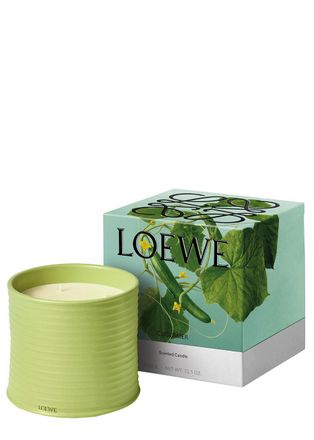 Loewe Cucumber Candle - Large 2120g, Candle, High-intensity Fragrance, Juicy Cucumber, Just-picked From the Vine, Fresh Mint Notes, Large, 2120g