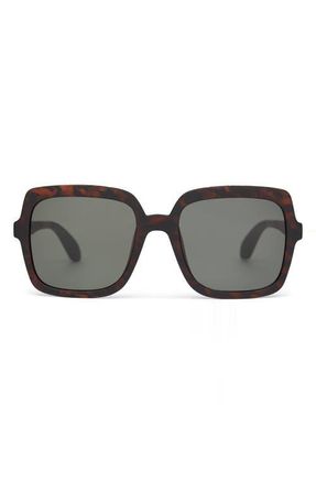Toms Athena 56mm Square Sunglasses in Matte Blonde Tortoise at Nordstrom