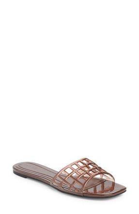 Open Edit Solis Jelly Slide Sandal in Brown Chocolate at Nordstrom, Size 5.5