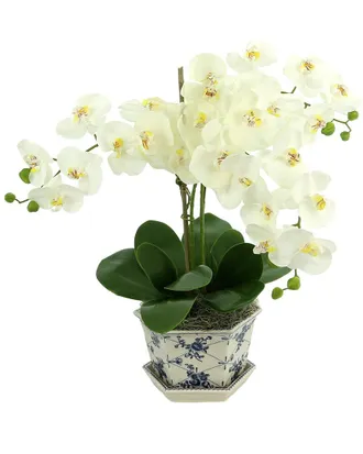 Creative Displays Inc. Orchids In Decorative Ceramic Vase