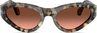 Persol Occhiali da sole cat-eye - Marrone