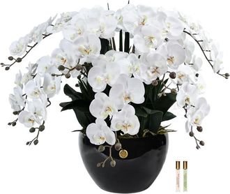 C&ocirc;te Noire Luxuri&ouml;ser Raumduft Luxury Giant Orchid &oslash; 60 x 74 cm