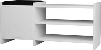 OEM Zapatero 44x100x35 Blanco