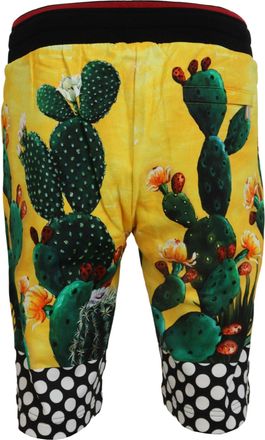 Dolce & Gabbana Mens Multicolor Cactus Print Cotton Sweat Shorts Wool