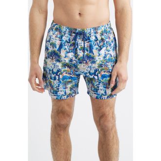 Boardies Printed Swim Trunks in Blue at Nordstrom, Size Medium