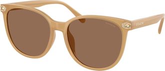 Coach Brown Cat Eye Ladies Sunglasses HC8414BD 585473 57