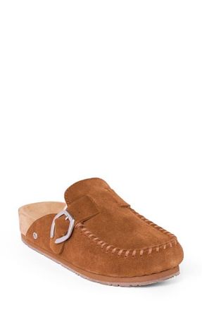 Minnetonka Buckle Clog in Brown at Nordstrom, Size 9.5 M