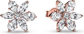 Pandora Womens Sparkling Herbarium Cluster Stud Earrings In Rose Gold