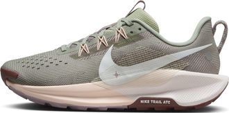 Nike (WMNS) Nike Pegasus Trail 5 Jade Horizon Crimson Tint DV3865-300