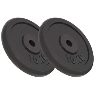 vidaXL Discos De Pesas De Hierro Fundido 2 Uds 2x10 Kg Vidaxl