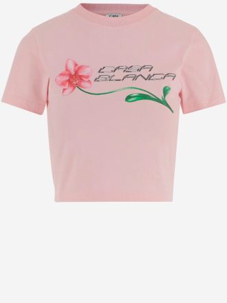 Casablanca Casablanca