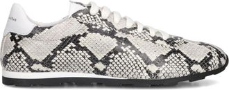 Stefano Lauran Schoenen, Dames, Grijs, 41 EU, Leer, Trendy Snake Print Dames Sneakers
