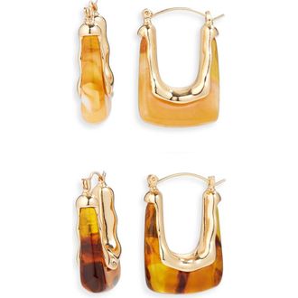 Tasha Set of 2 Resin Oval Hoop Earrings in Neutral at Nordstrom Rack
