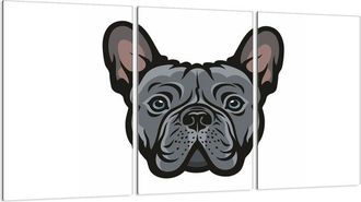 OEM Placa Protectora De Vidrio Para Estufa 3x30x52