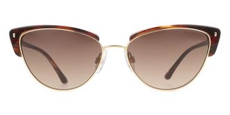 Ana Hickmann HI3113 E01 Womens Sunglasses Tortoiseshell Size 55