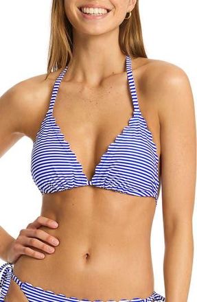 Sea Level Australia Varsity Halter Slider Triangle Bikini Top in Cobalt at Nordstrom Rack, Size 4 Us / 8 Au