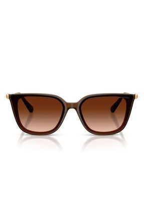 Swarovski 63mm Oversize Square Sunglasses in Transparent Brown /Brown at Nordstrom