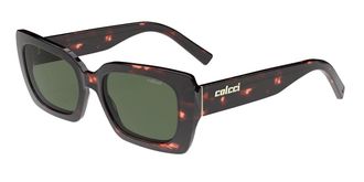 Colcci Tribeca C0202F2171 Womens Sunglasses Tortoiseshell Size 53