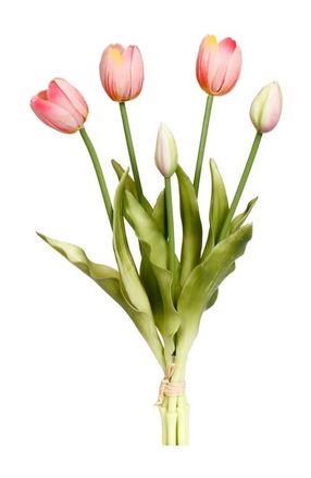 Mark Roberts Blooming Tulip Bunch of 5, 6 Bunches Total in Dark Pink at Nordstrom