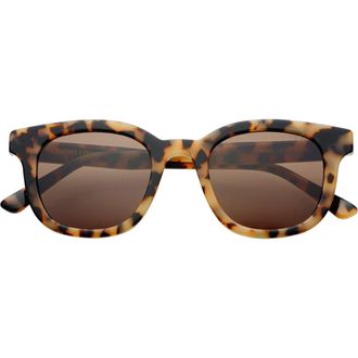 Freyrs Eyewear Jasper Round Sunglasses in Milky Tortoise at Nordstrom