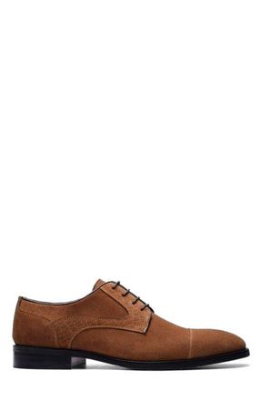 Carlos By Carlos Santana Havens Cap-toe Derby in Tabacco Brown Suede at Nordstrom, Size 11.5