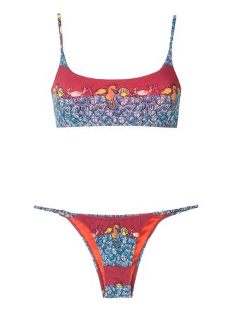 Amir Slama Bikini met dierenprint - Blauw