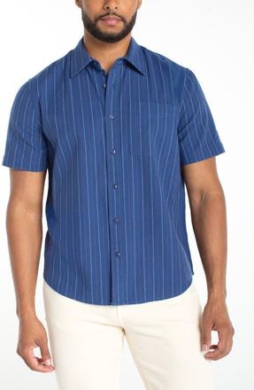 Liverpool L.A. Pinstripe Short Sleeve Cotton Button-Up Shirt in Blue Multi at Nordstrom, Size X-Large
