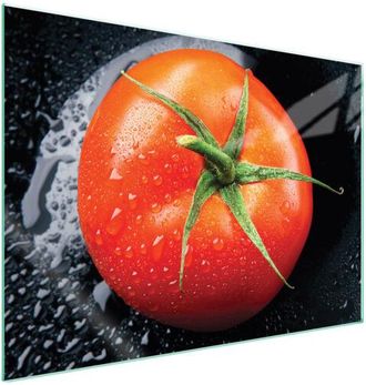 OEM Placa Protectora De Vidrio Para Estufa 70x52 Tomate