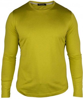 Loro Piana T-shirt Groen