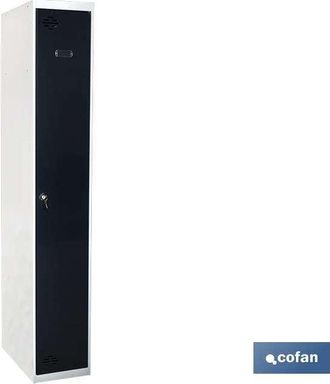 cofan Taquilla Inicial 1 Puerta 1800 X 300 X 500 Mm, Taquillas De Color Gris Indicadas Para Almacenar Todos Tus Objetos Personales En El Lugar De Trabajo. D