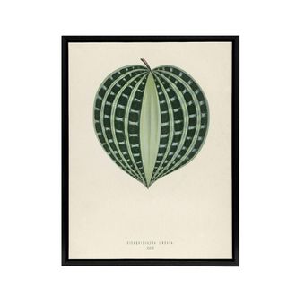 Artery8 Vintage Botanical Seersucker Plant Leaf Fawcett Framed Canvas Wall Art in Beige | Size: W24 x H32