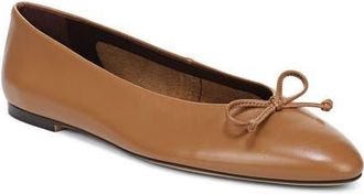 Franco Sarto Rosalee Ballet Flat in Brown Leather at Nordstrom, Size 11