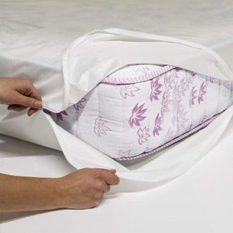 None Allergosystem Set Antiacaro Sognocomposto da coprimaterasso con Cerniera per Letto Singolo, 80x190x20cm e 1 copricuscino, 50x80cm, Polyester