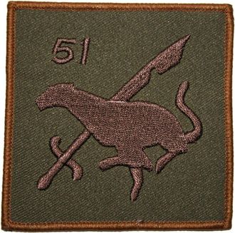 Maze ROYAL AIR FORCE REGIMENT 51 squadron DZTRF patch - Green
