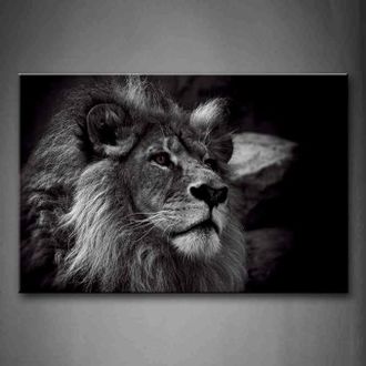OEM Fotopintura Sobre Lienzo De Un Le&oacute;n, 61 X 91 Cm
