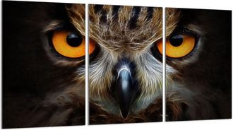 OEM Placa Protectora De Vidrio Para Estufa 3x30x52