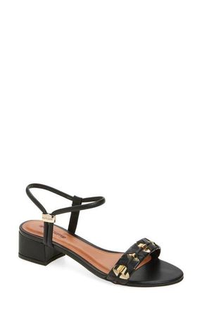 Bottero Elsa Ankle Strap Sandal in Preto at Nordstrom, Size 10