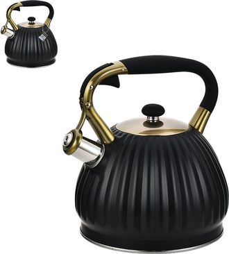 Hamilton Beach Whistling Tea Kettle 101Oz 3L Blalpine Cuisinek&Gold