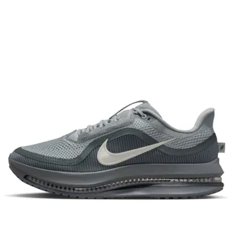Nike Pegasus Premium Wolf Grey HQ2592-013